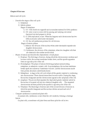 Measles Worksheet-1 - The History Of Measles And The Measles Vaccine 