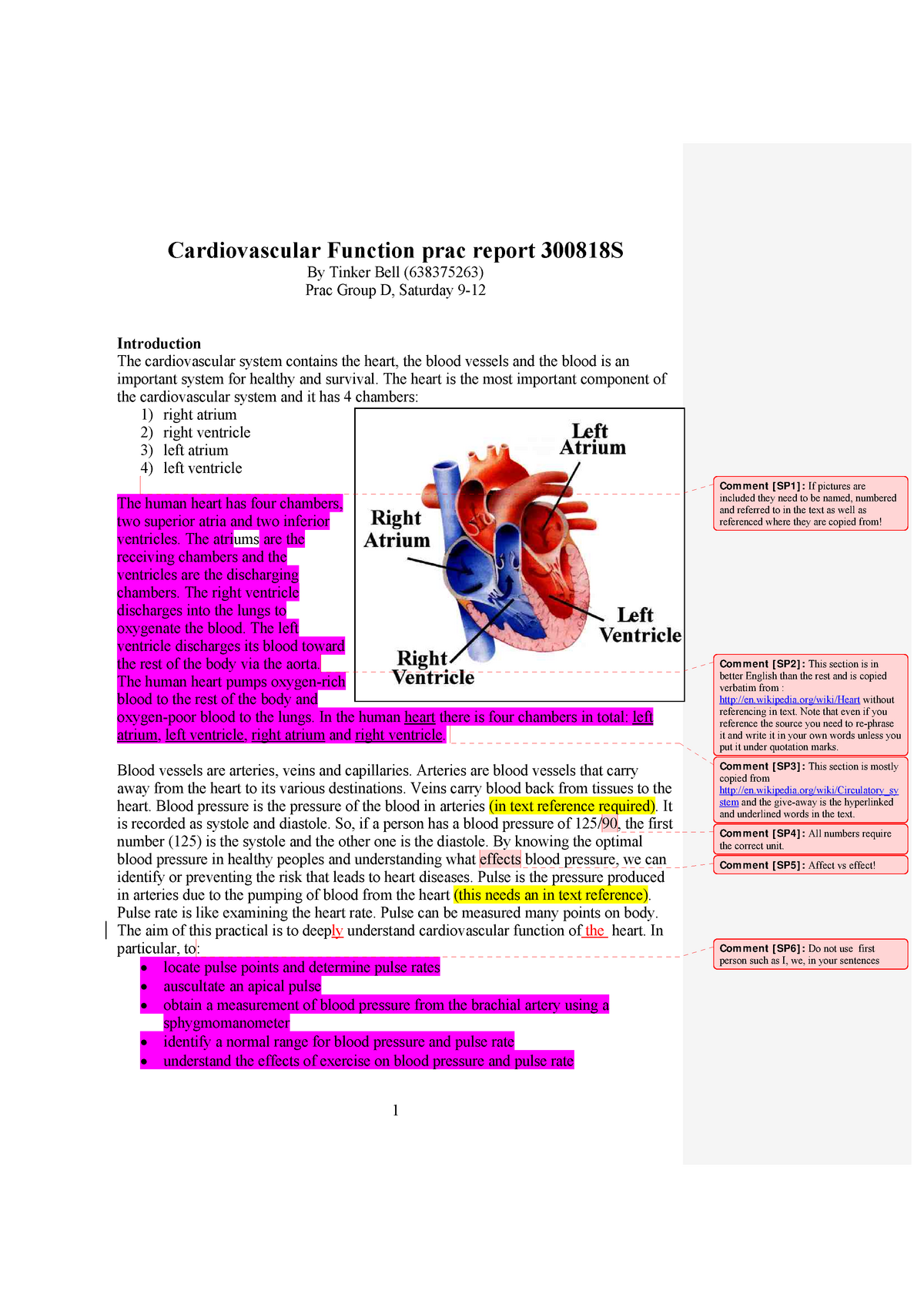 cardiovascular system assignment slideshare