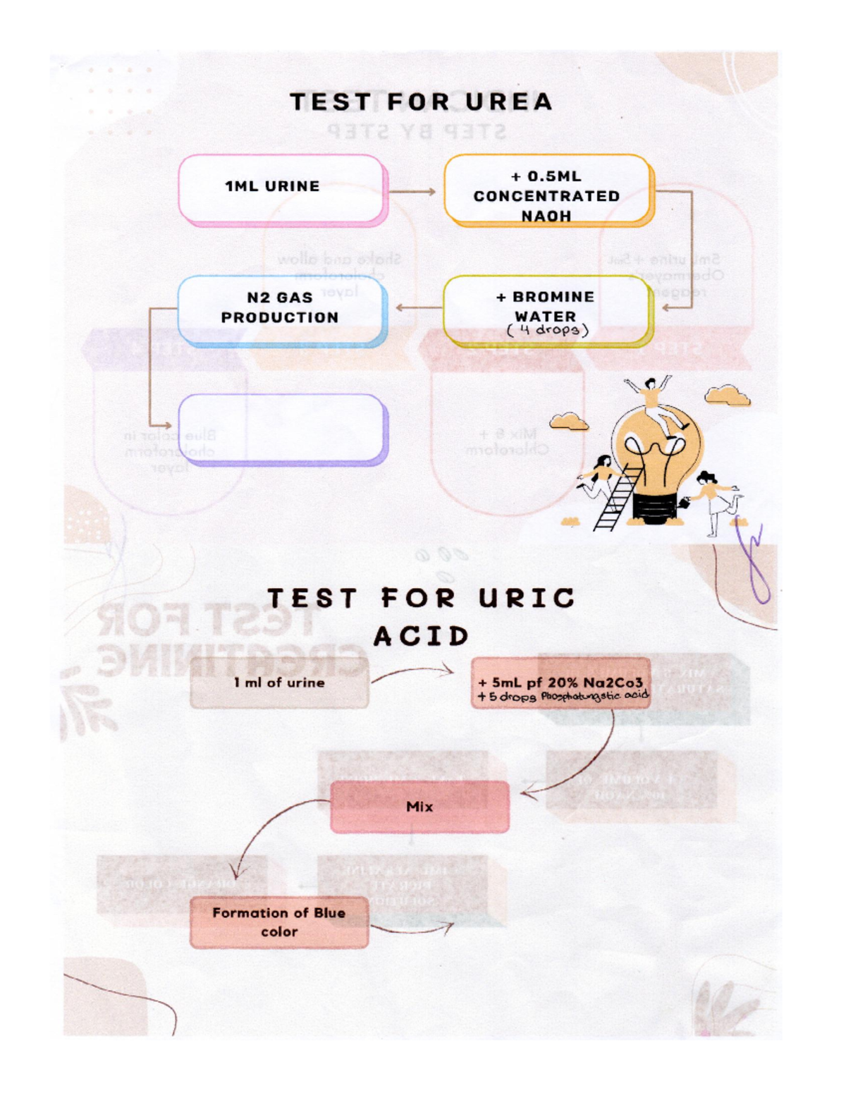 Schematic Urinalysis Pharmaceutical Biochemistry Studocu