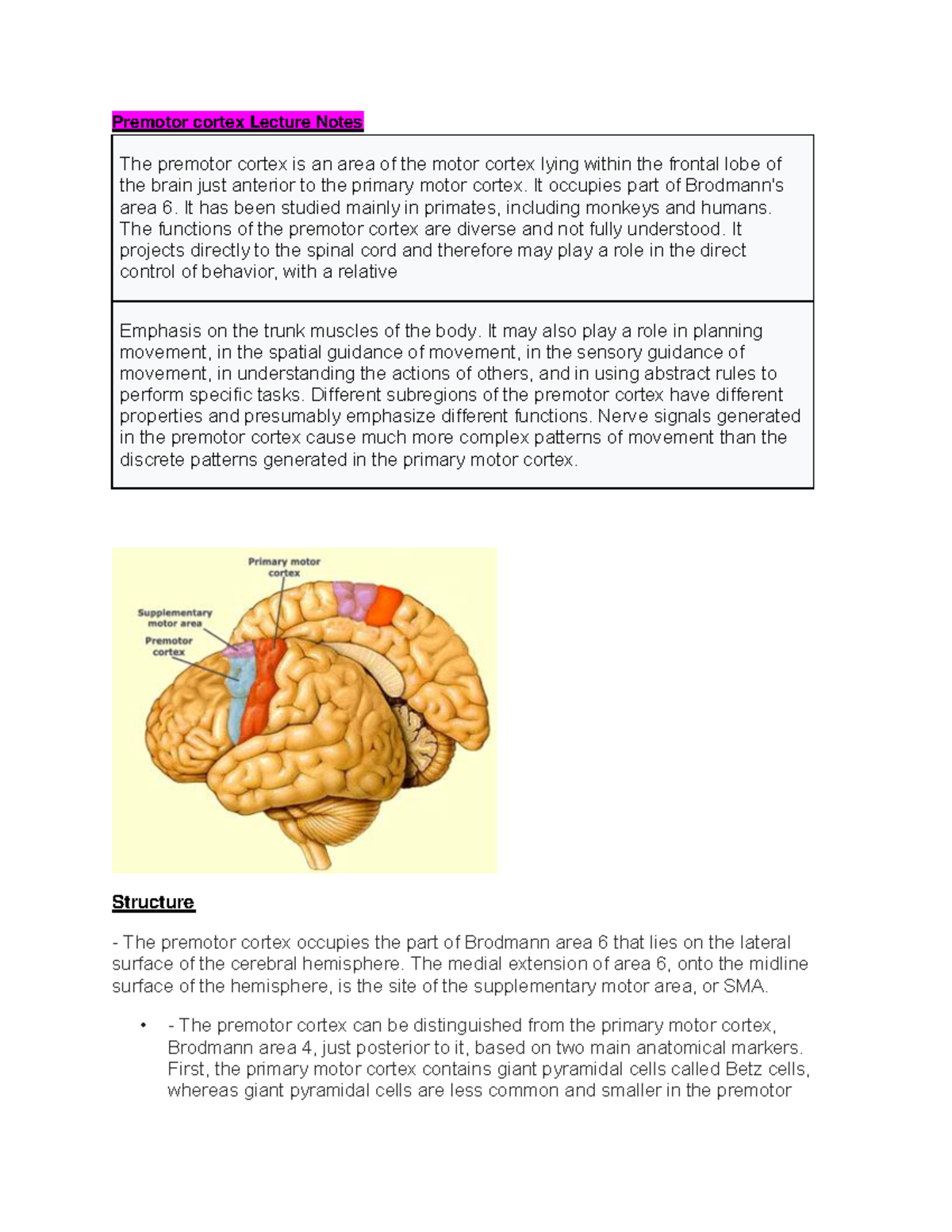 Premotor cortex Lecture Notes week 8 - Premotor cortex Lecture Notes ...