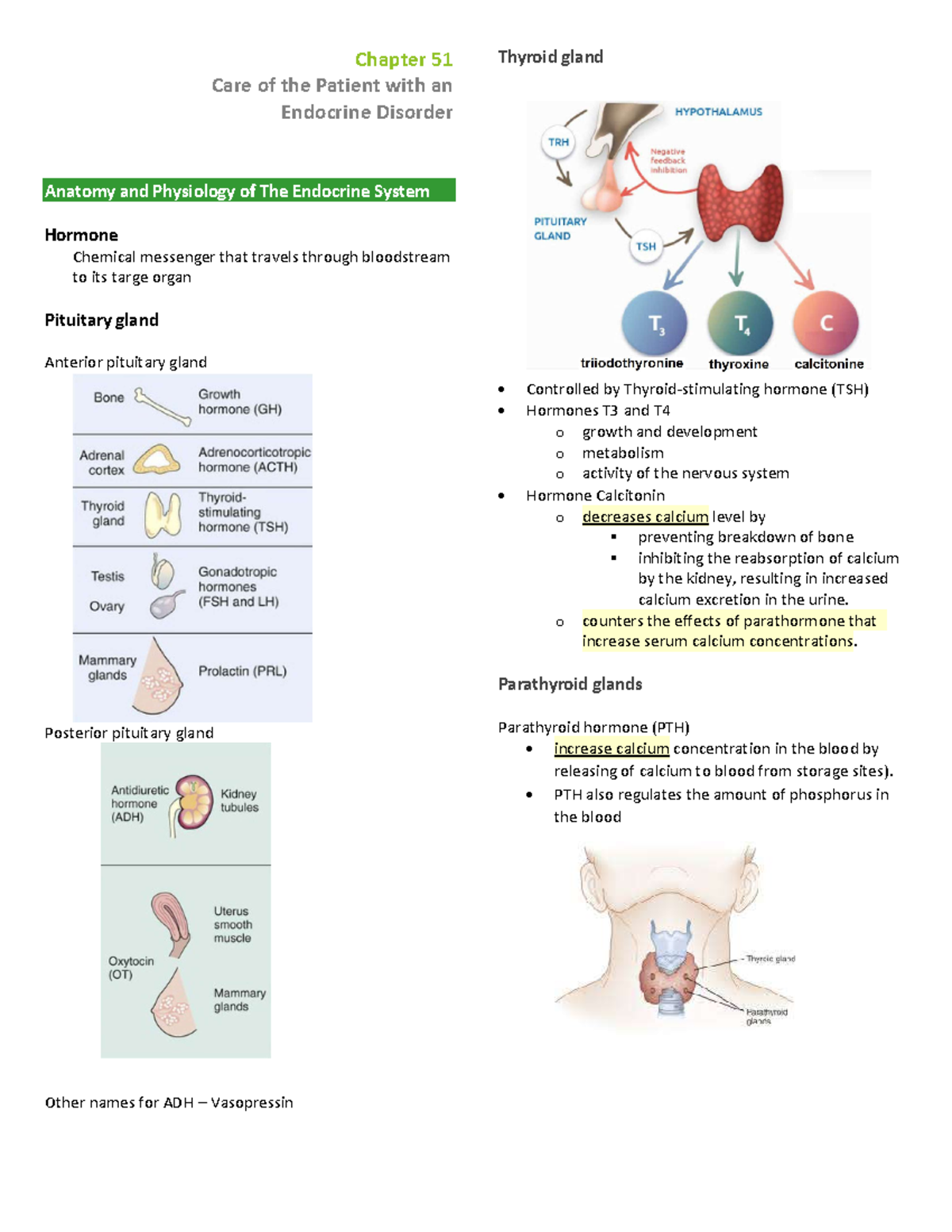 Chapter 51 - Care Of The Patient With An Endocrine Disorder - Chapter 