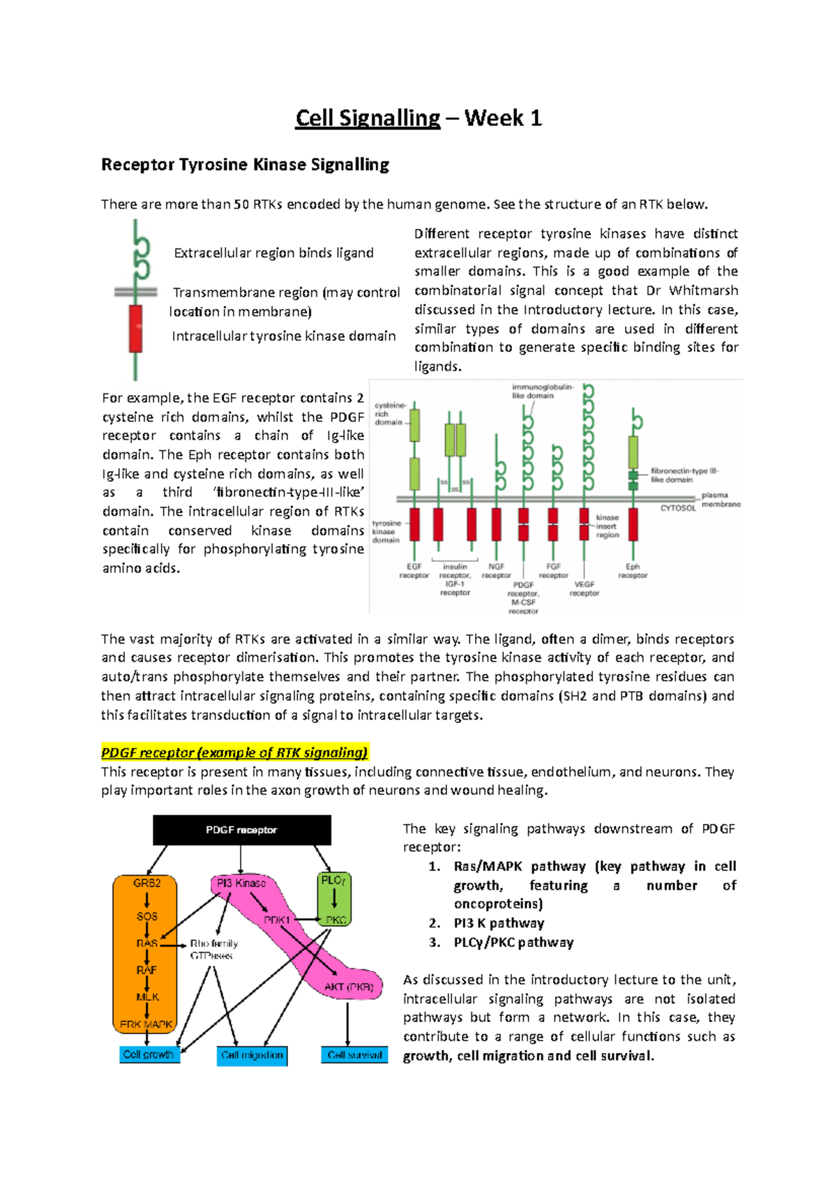 Lecture notes week 1 and 2 - Cell Signalling – Week 1 Receptor Tyrosine ...