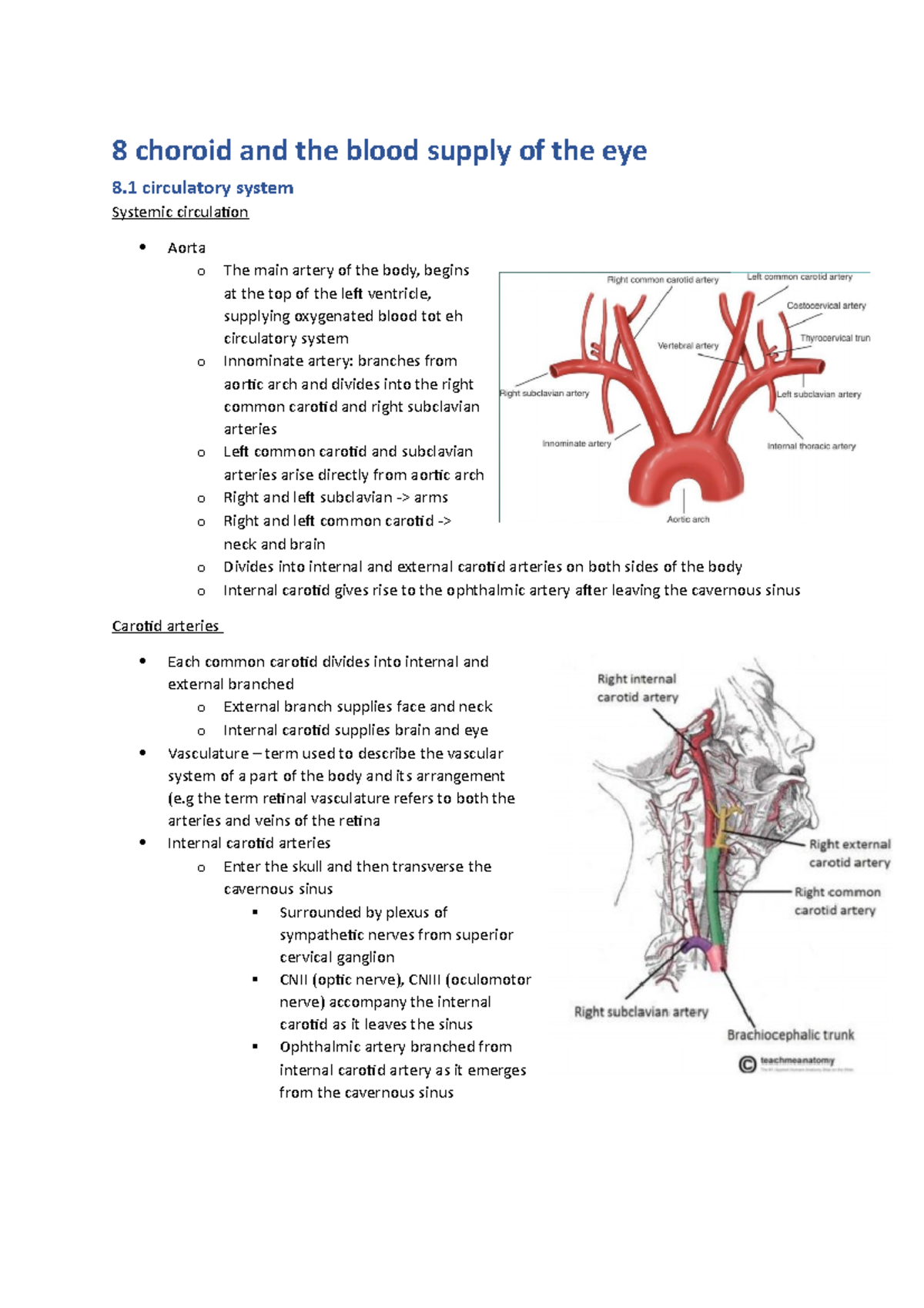 Ocular anatomy lecture 8 - 8 choroid and the blood supply of the eye 8 ...