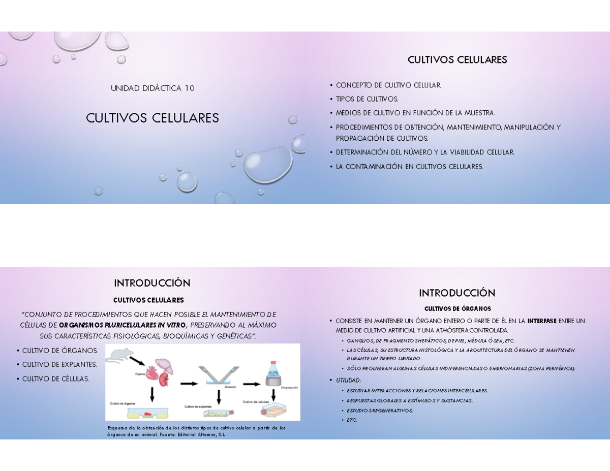 UD 10 Cultivos Celulares - UNIDAD DIDÁCTICA 10 CULTIVOS CELULARES