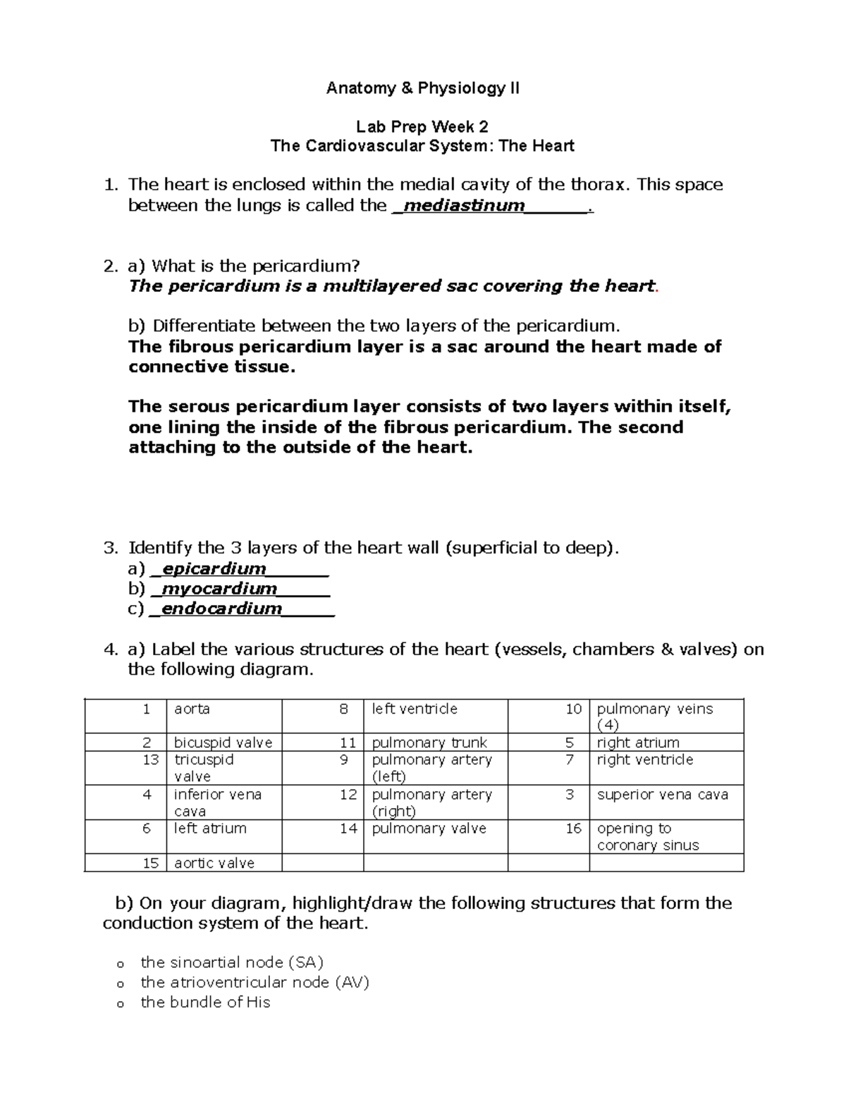SCIE 158 - Lab Prep- Heart - Anatomy & Physiology II Lab Prep Week 2 ...