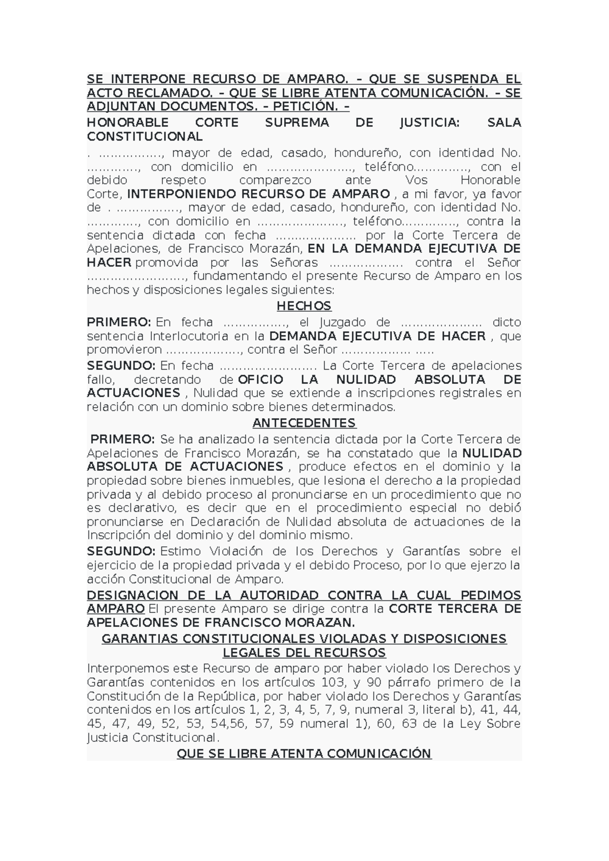 Copia Recurso DE Amparo - SE INTERPONE RECURSO DE AMPARO. – QUE SE ...