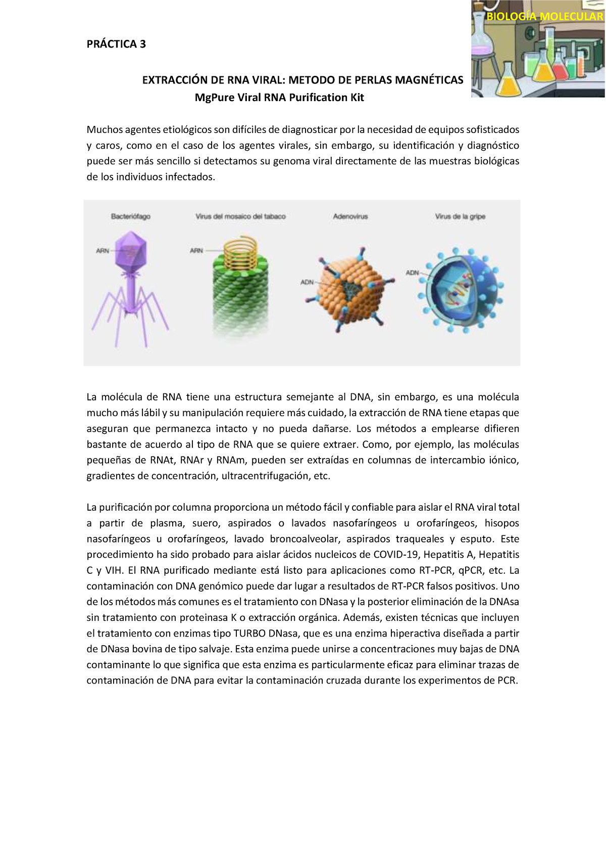 3 Protocolo Extracción Rna Viral Perlas Magnéticas Pr¡ctica 3