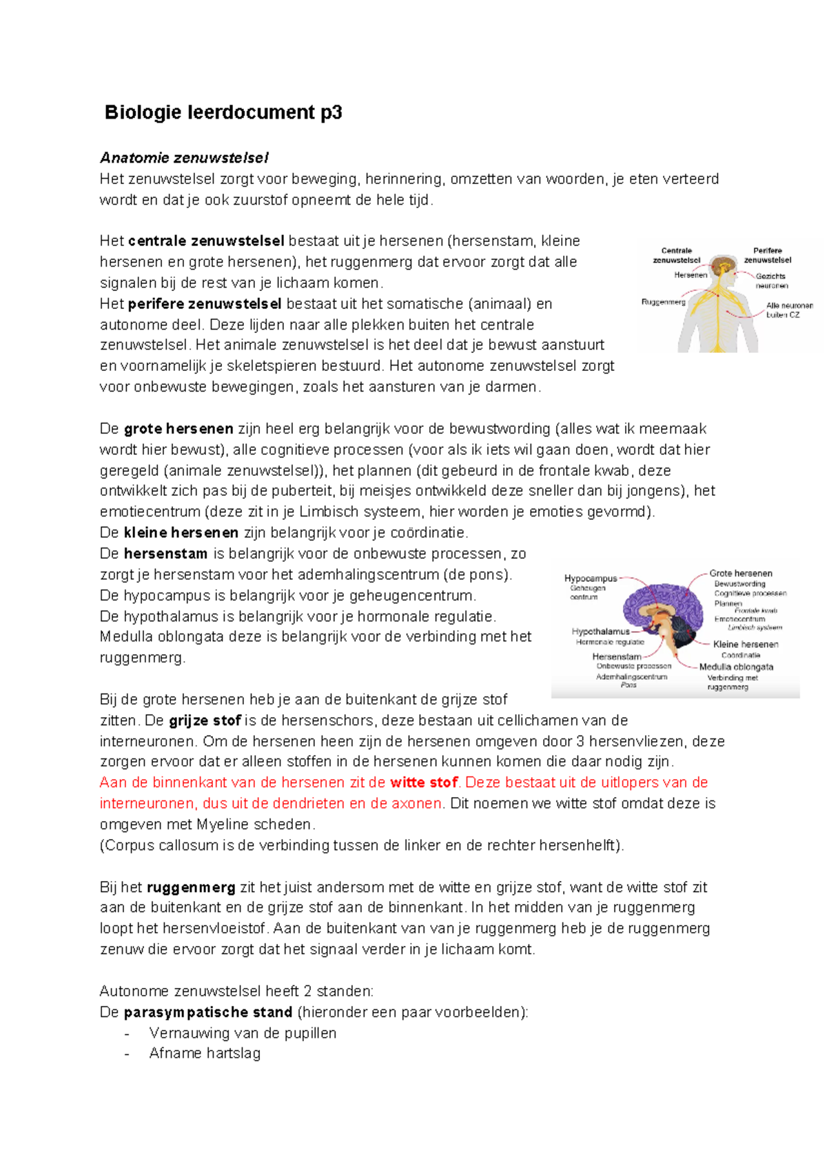 Zenuwstelsel En Spieren - Biologie Leerdocument P Anatomie Zenuwstelsel ...