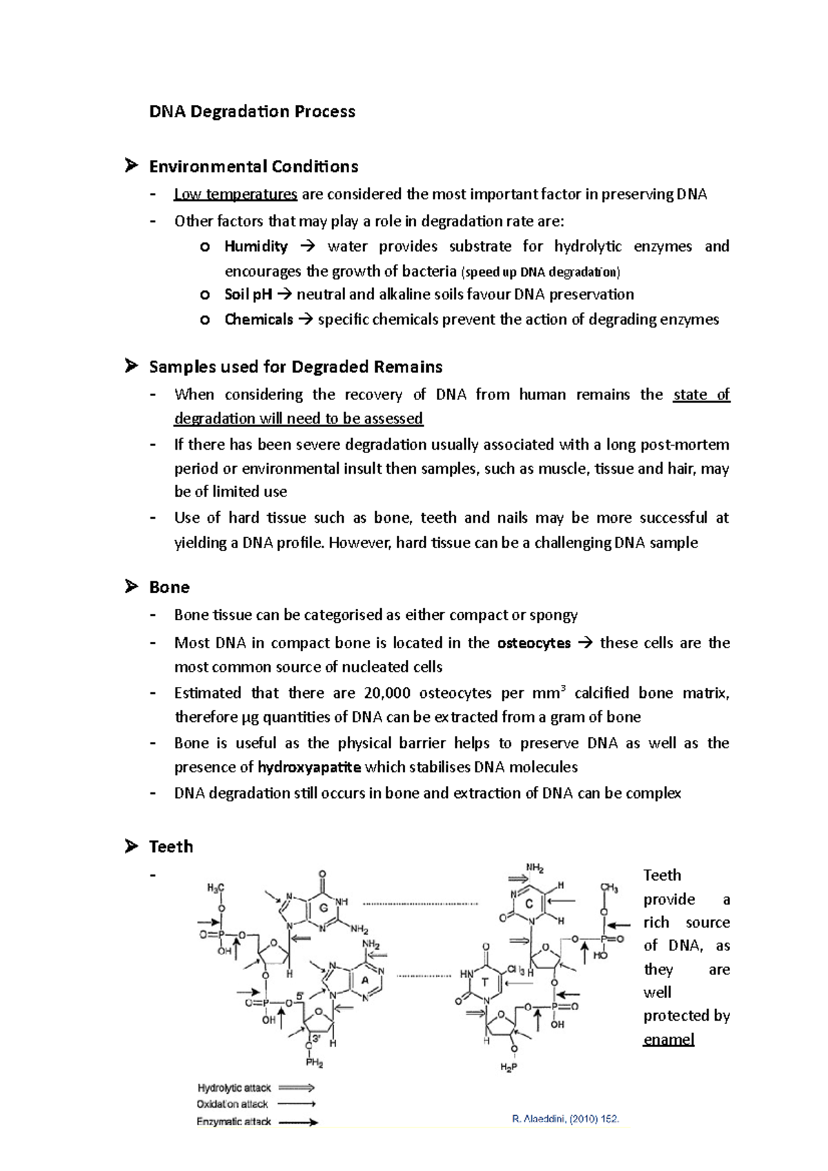 Critical Stage: Host Dna Degradation Explained - 3g274u0