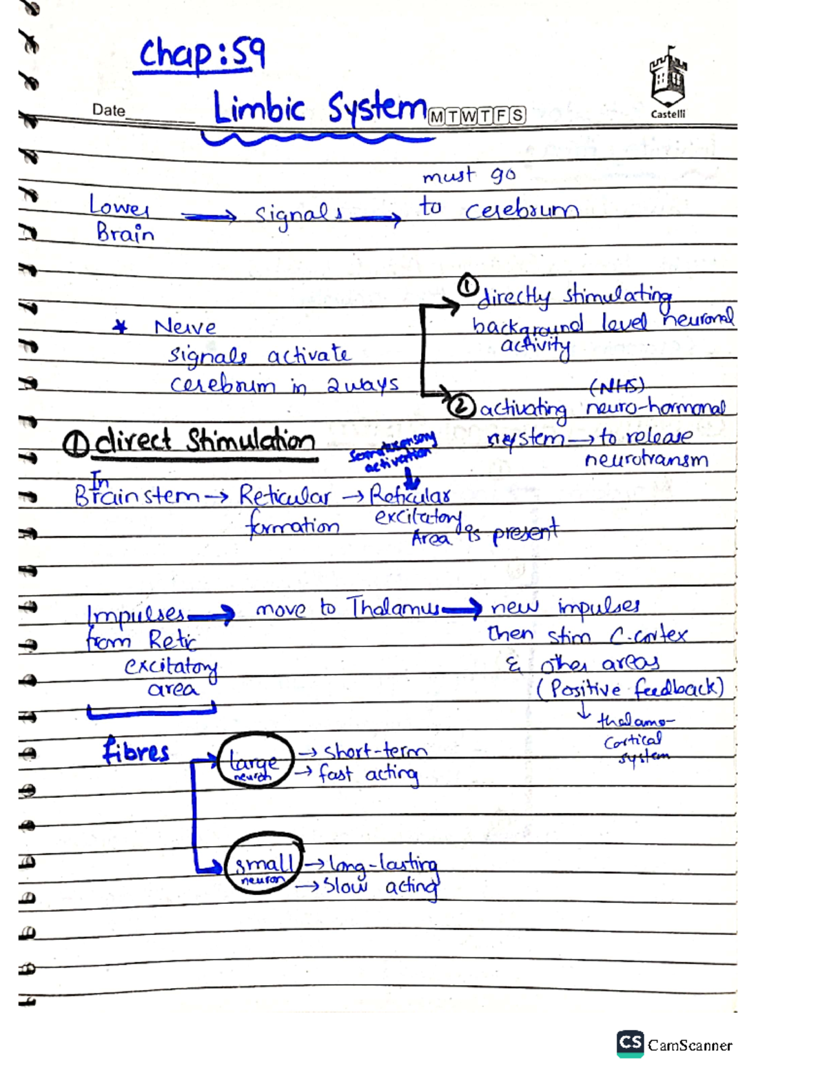 Mbbs Limbic System and Hypothalamus - Physiology - Studocu