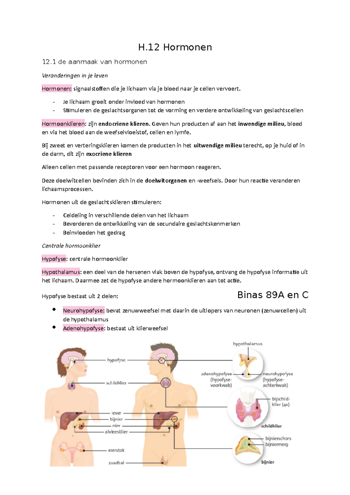 H12 Hormonen Samenvatting H Hormonen 12 De Aanmaak Van Hormonen