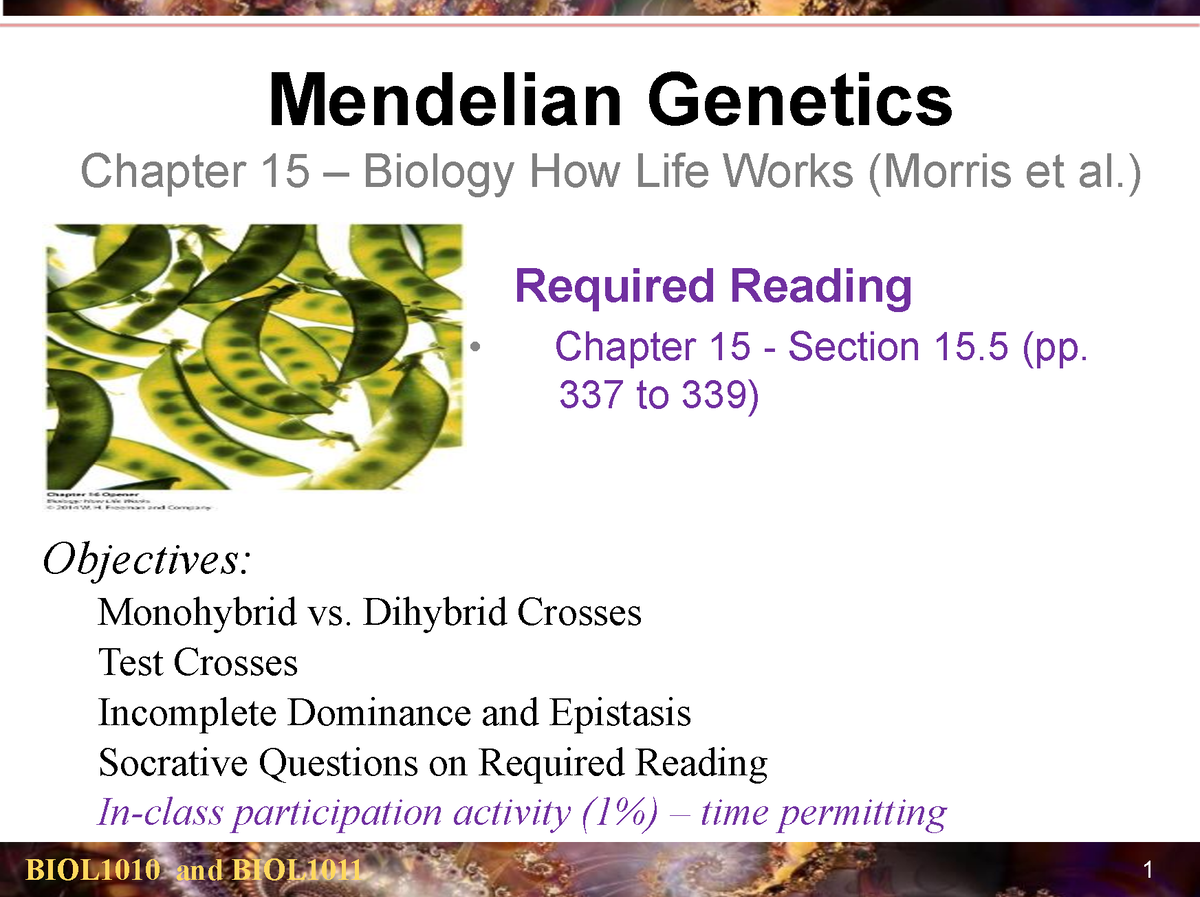 Lecture Mendelian Genetics Mendelian Genetics Chapter Biology How Life Works Morris