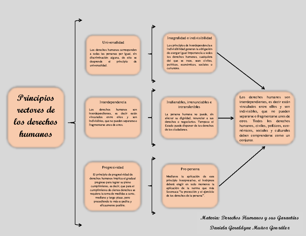 Principios Rectores De Los Derechos Humanos Principios Rectores De