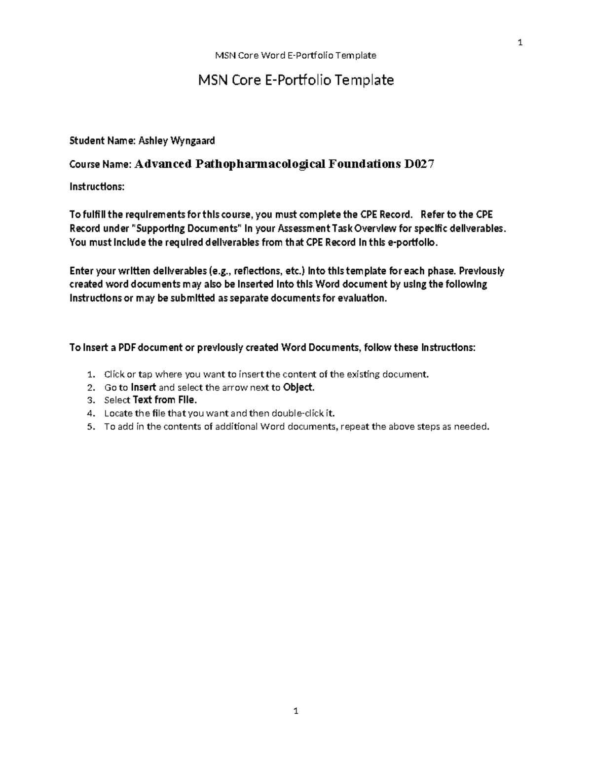 Msn core word e-portfolio d027 - MSN Core Word E-Portfolio Template MSN ...