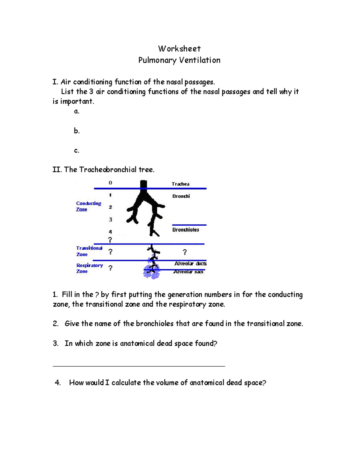 Worksheet Pulmonary Ventilation - Deprecated API usage: The SVG back ...