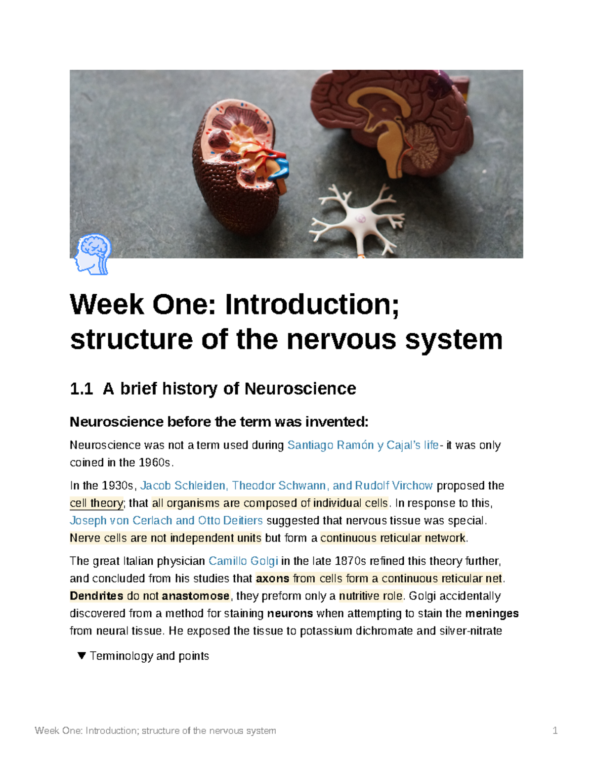 Introduction Structure Of The Nervous System - PSYU9A4 - Stirling - Studocu