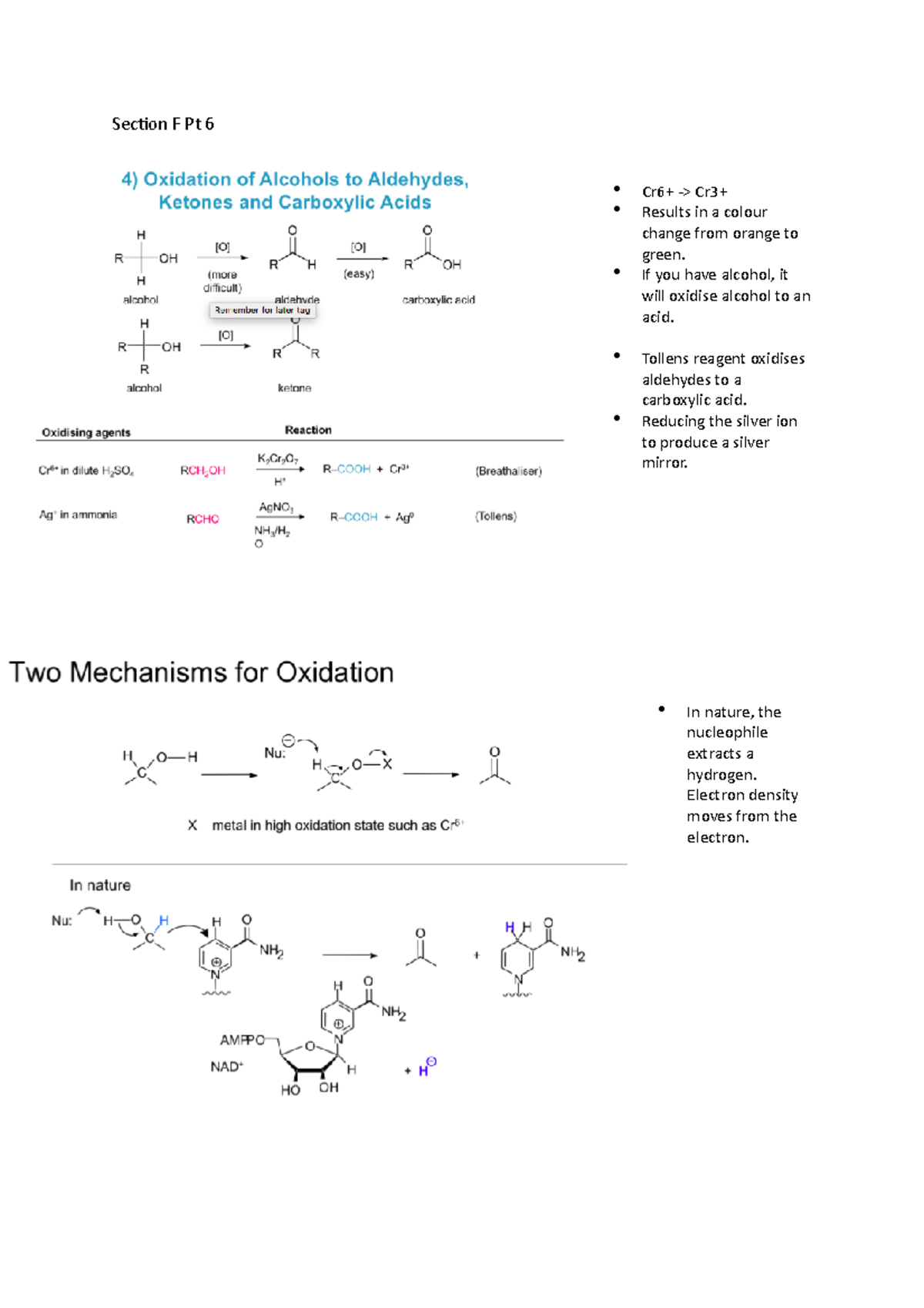 Section F Pt 6 - Lecture notes and additional research notes from ...