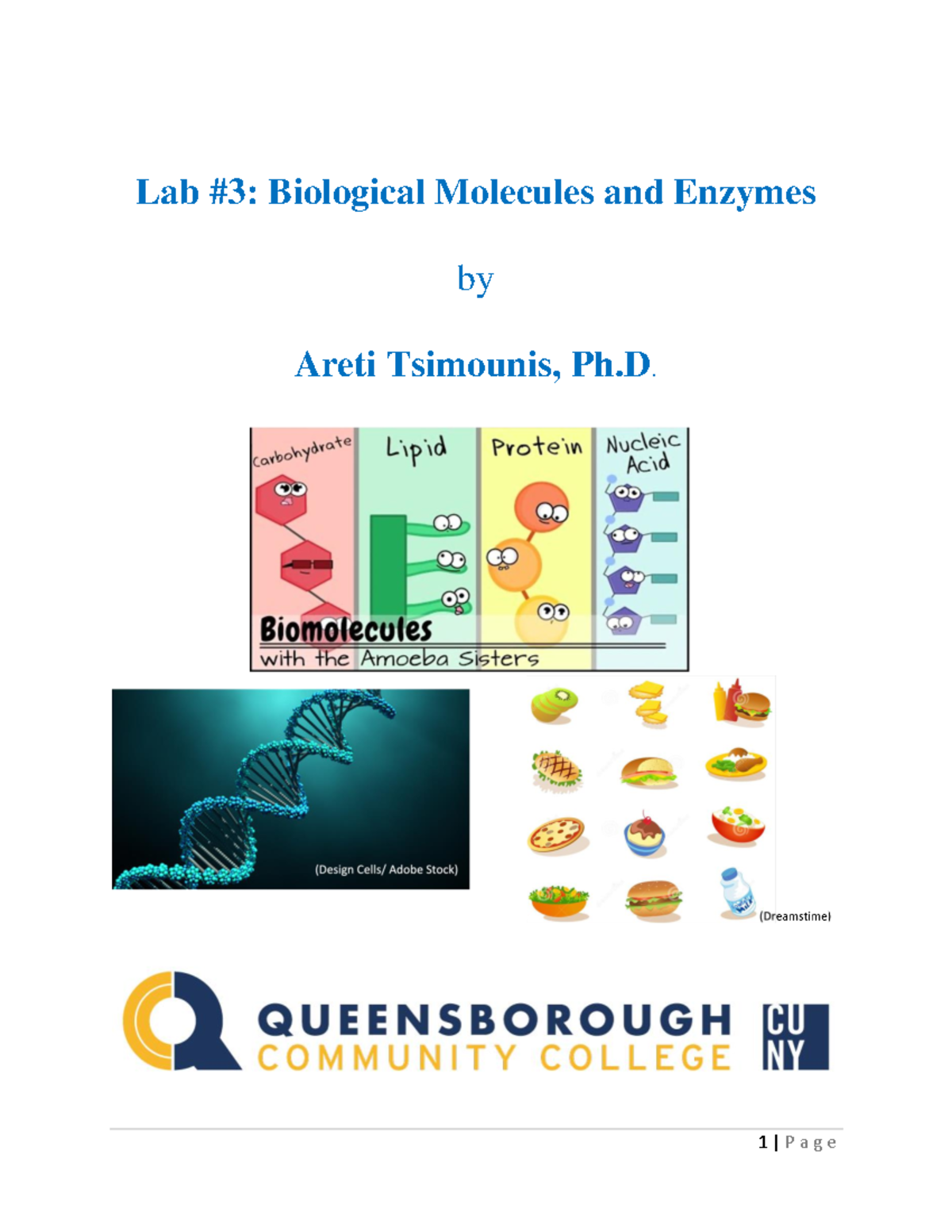 Lab 3 Biological Molecules Enzymes Lab 3 Biological Molecules and