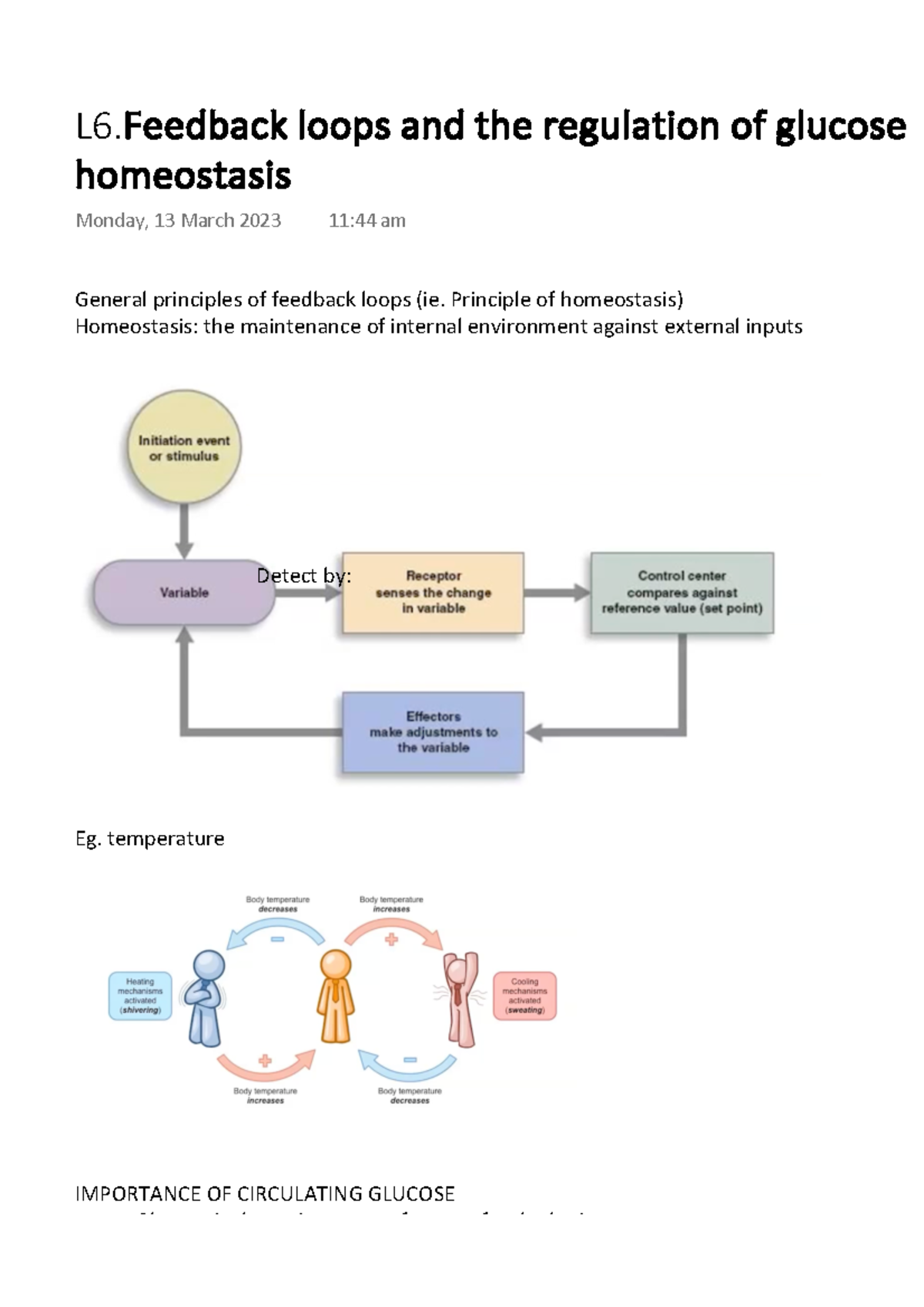 L6.Feedback loops and the regulation of glucose homeostasis - General ...