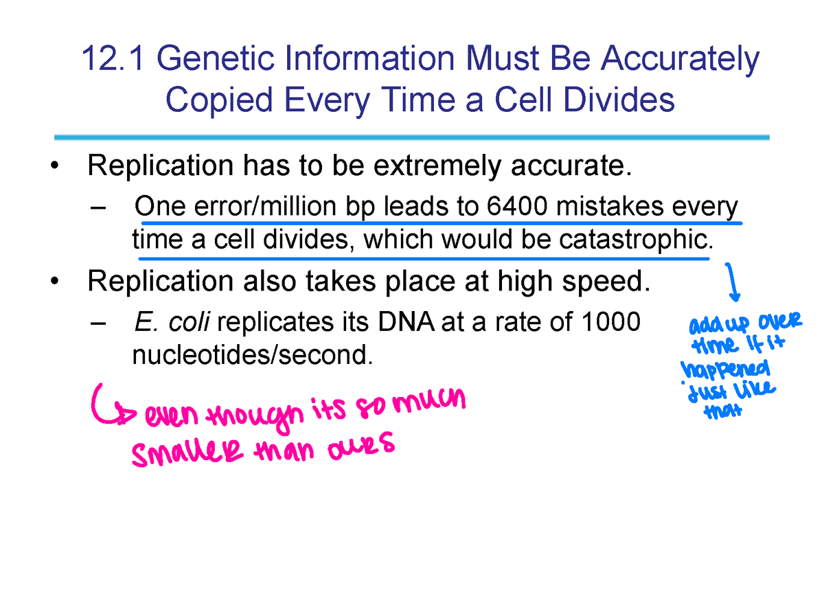 Genetics Chapter 12 Powerpoints 12 Genetic Information Must Be