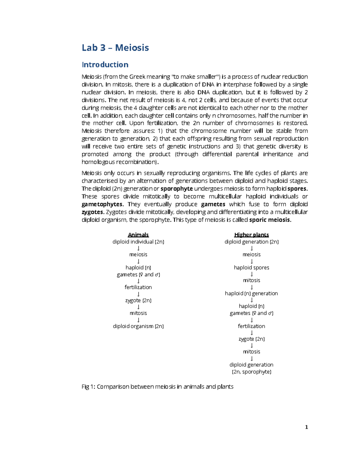 BIO1140 meiosis intro - Summary Cellular and molecular biology - Lab 3 ...