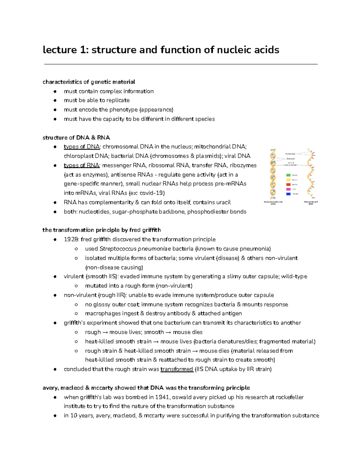 Lecture 1 structure and function of nucleic acids Studocu