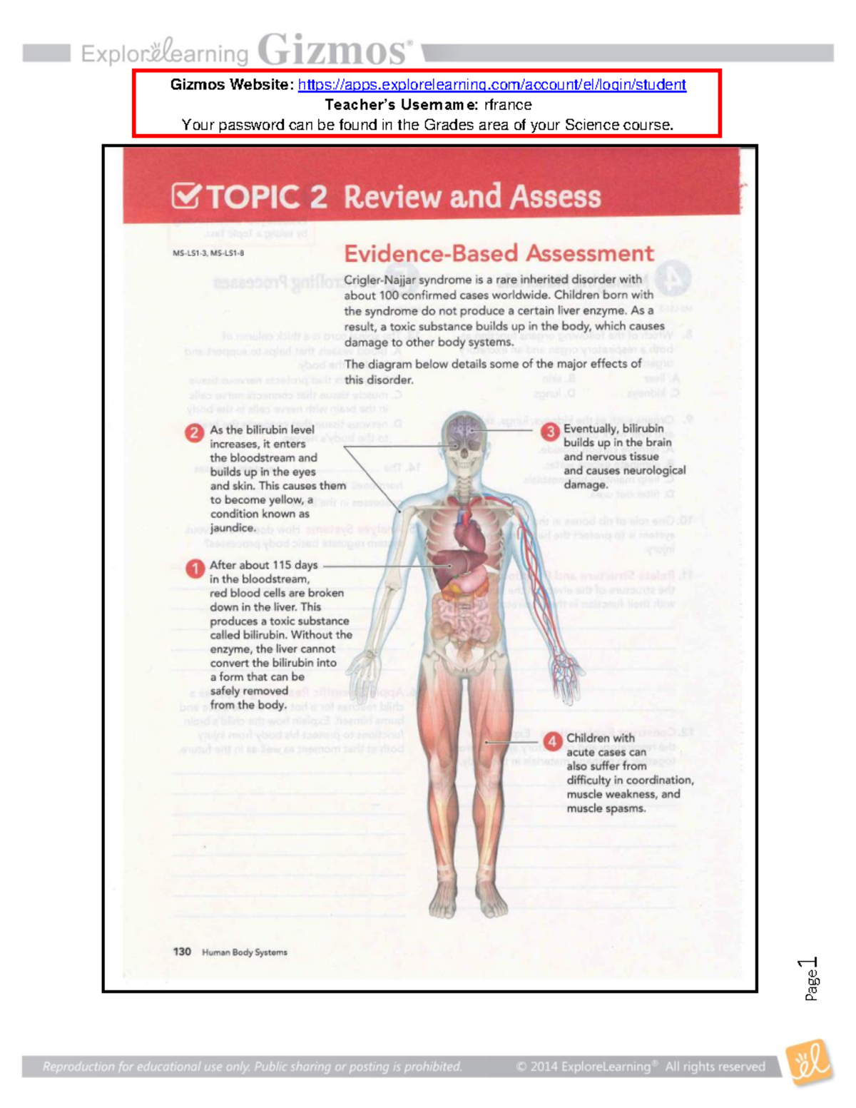 module-8-unit-activity-digestive-system-gizmo-student-exploration