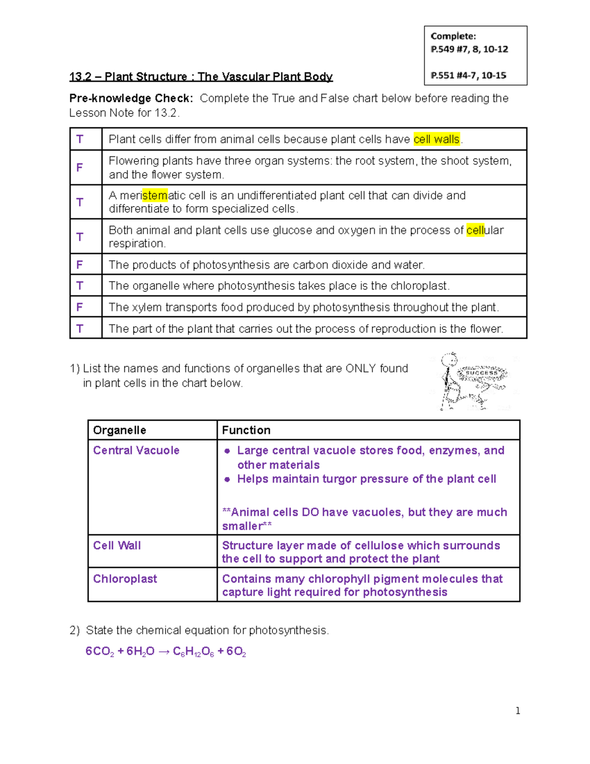 13.2 - Plant Structure - Teacher - Final - 13 – Plant Structure : The ...