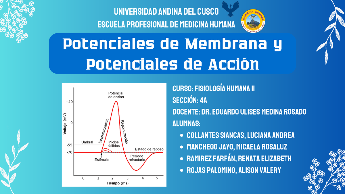 Exposici N Fisiolog A Potencial De Acci N Y De Membrana Potenciales De Membrana Y Potenciales