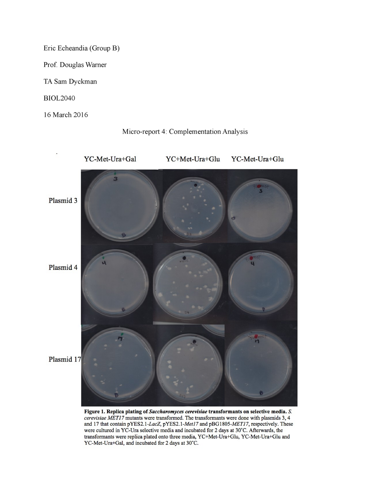 Microbial analysis of the buffer/container experiment at AECL`s Underground  Research Laboratory (also published as AECL-11436, COG-95-446, ANDRA C RP  0.AEC 96-001) –