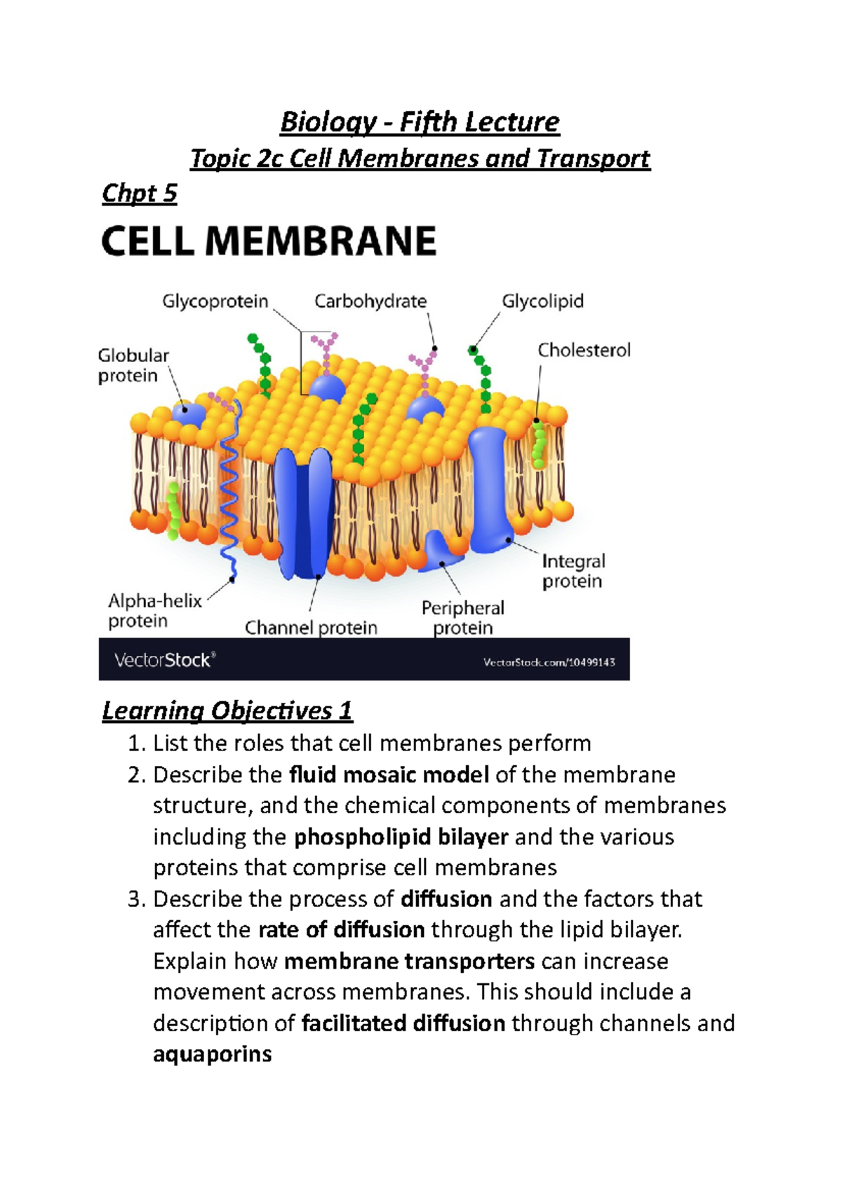 Bio Fifth Lecture - Biology - Fifth Lecture Topic 2c Cell Membranes And ...