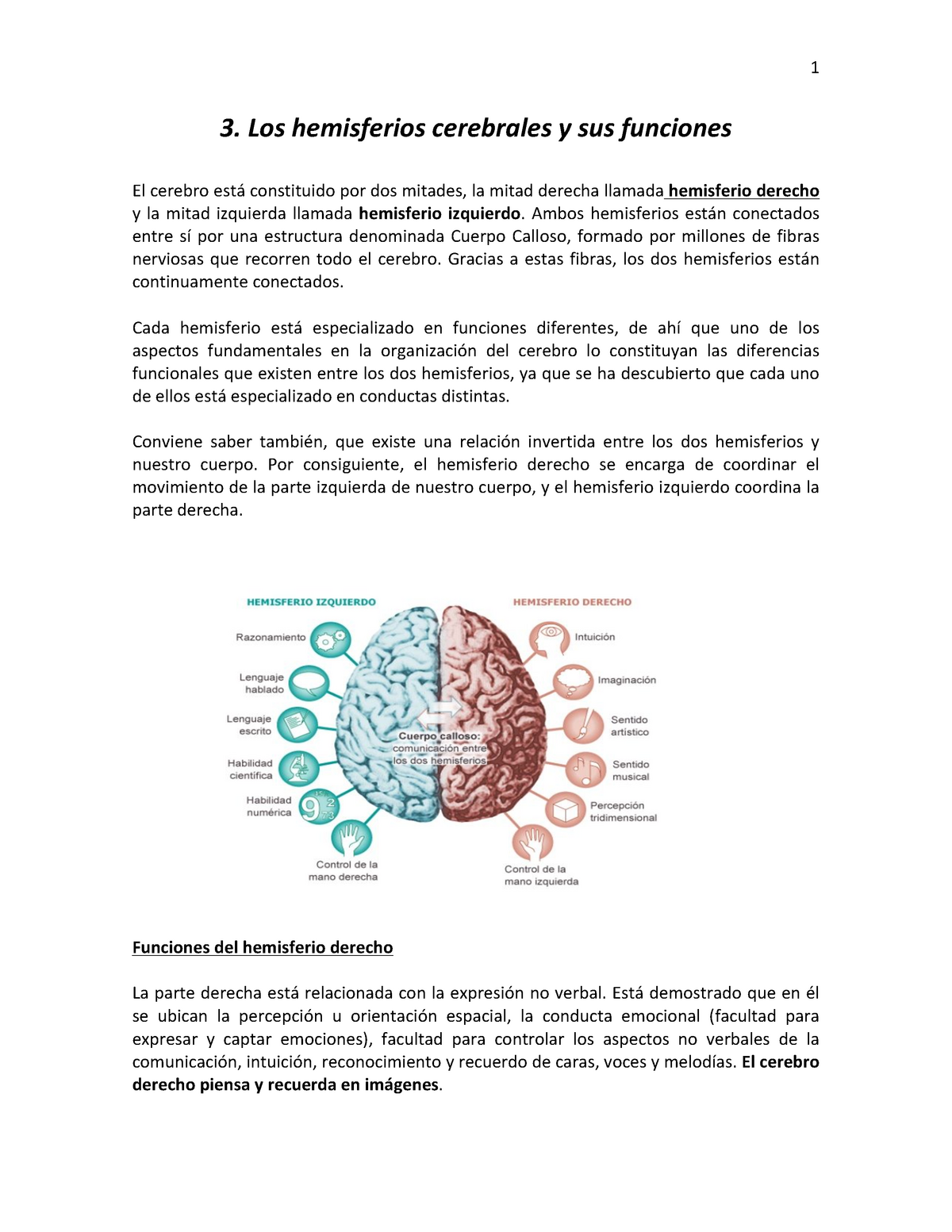 El Cerebro Hemisferios Los Hemisferios Cerebrales Y Sus Funciones El Studocu