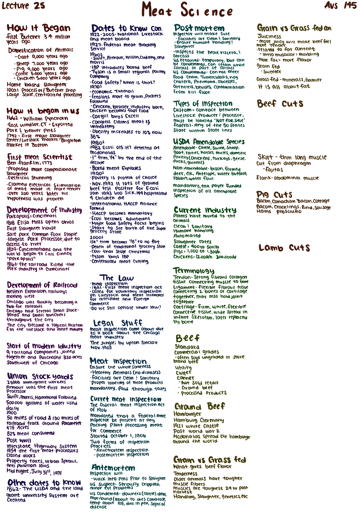 beef facts meat science assignment answer key