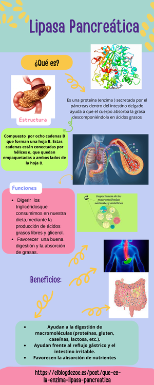 Grupos Funcionales Bioqu Mica Upaep Studocu