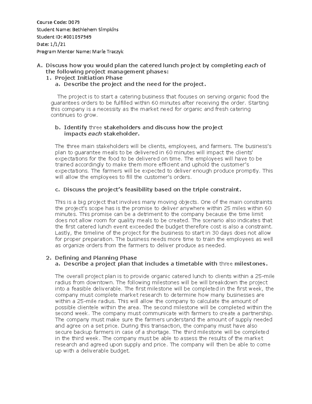 Wgu essay example 08 image