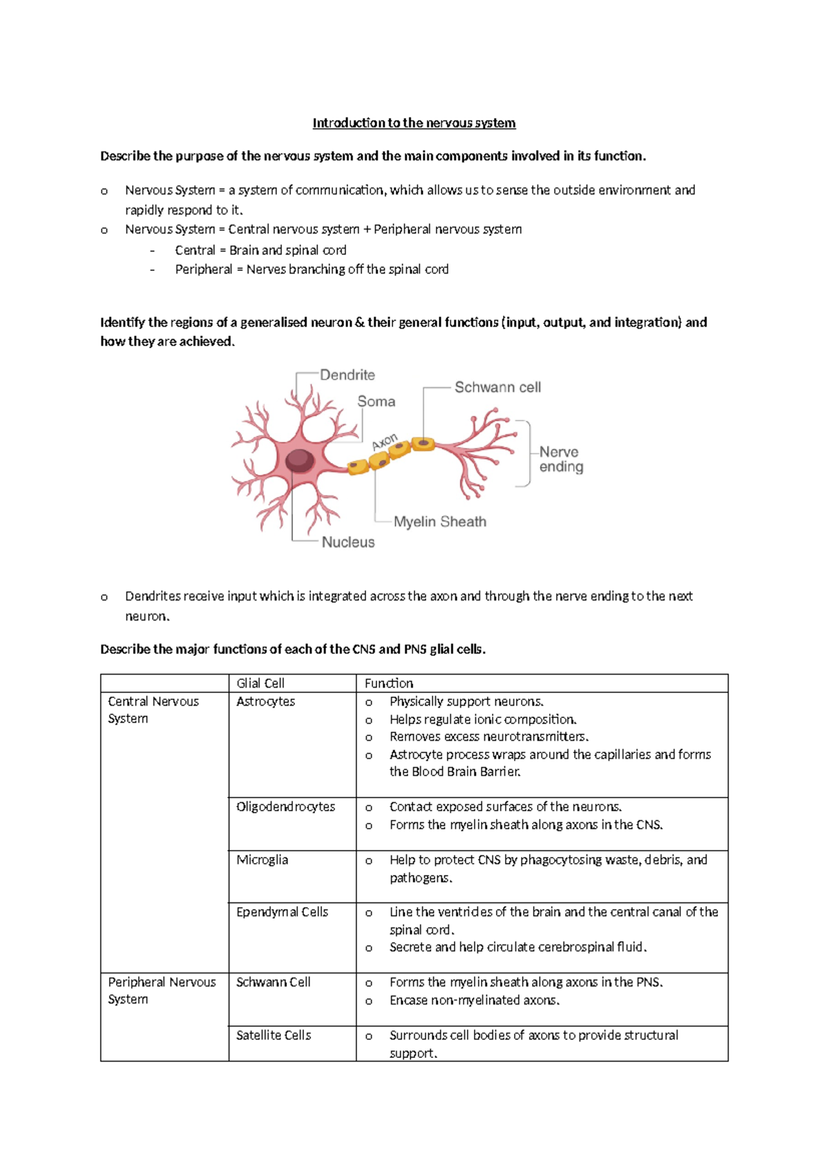 HUB Summary - Introduction to the nervous system Describe the purpose ...