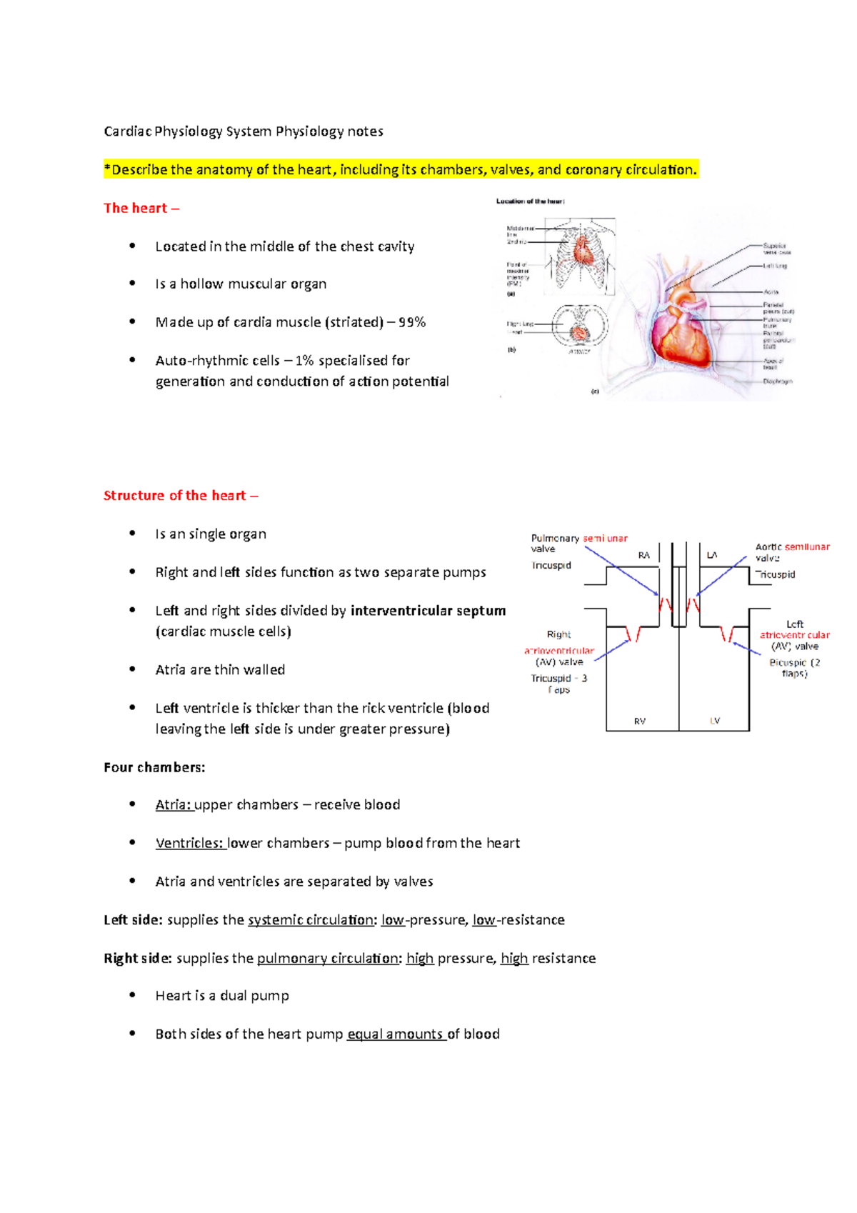 2 Cardiac Physiology Systems Physiology Notes Cardiac Physiology 2 Cardiac Physiology Systems Physiology Notes Cardiac Physiology