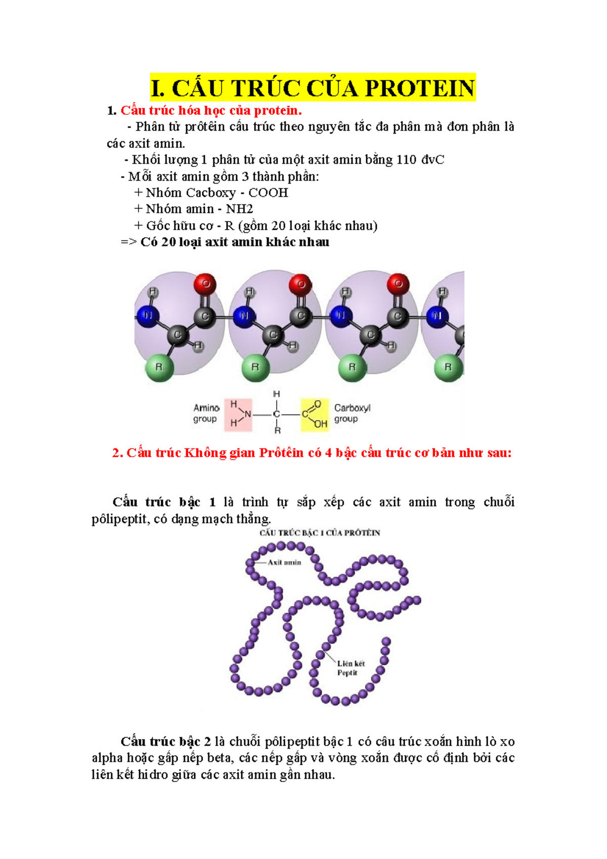 Cấu trúc của protein - sinh học - I. CẤU TRÚC CỦA PROTEIN 1. Cấu trúc ...