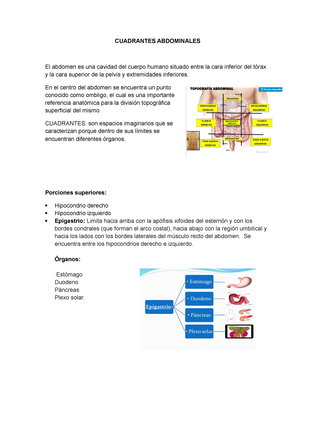 Cuadrantes Abdominales - CUADRANTES ABDOMINALES El Abdomen Es Una ...