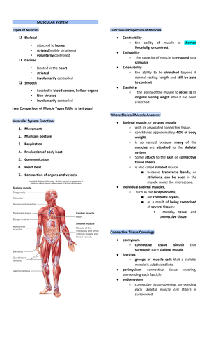 Seeley's Anatomy And Physiology Summarized Notes (Cardiovascular System ...