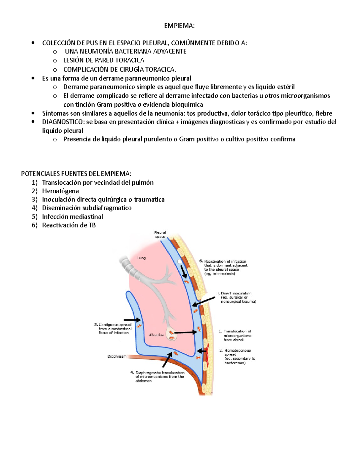 empiema-facultad-de-medicina-y-ciencias-de-la-salud-empiema