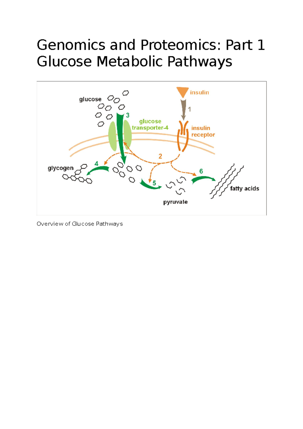 1 - Part 1 - Genomics and Proteomics: Part 1 Glucose Metabolic Pathways ...