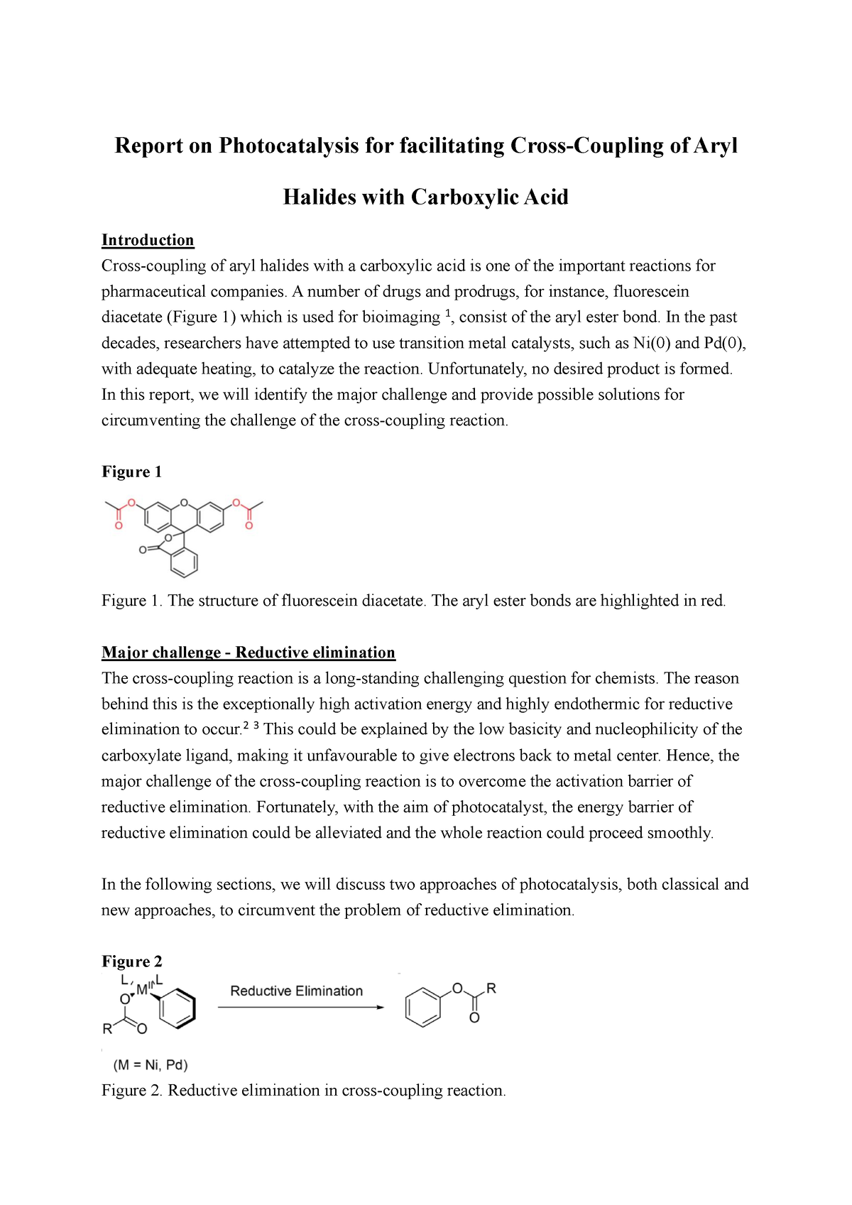 thesis report on photocatalysis