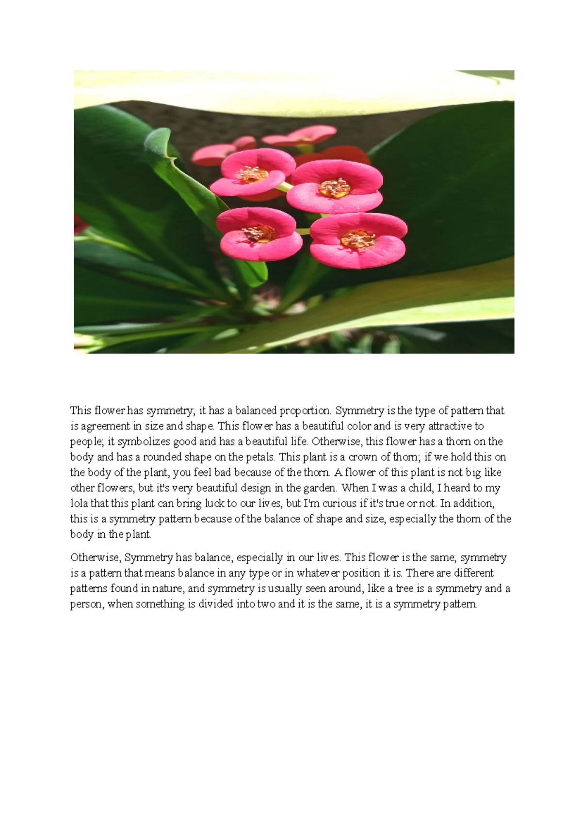 Math 1f hudududurig - This flower has symmetry; it has a balanced ...