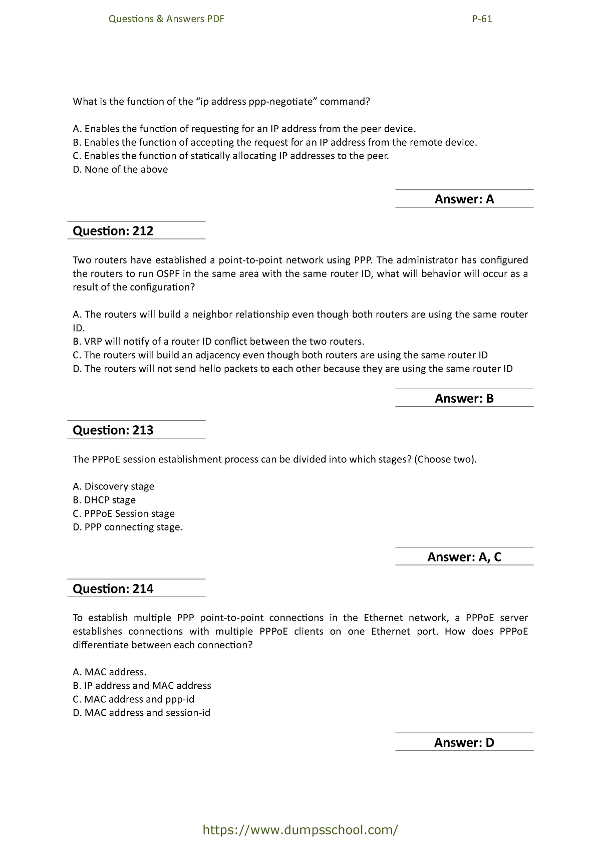 ppp ip address assignment