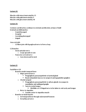 Ruminant anatomy - clinical - Ruminant anatomy Flank laparotomy - Three ...