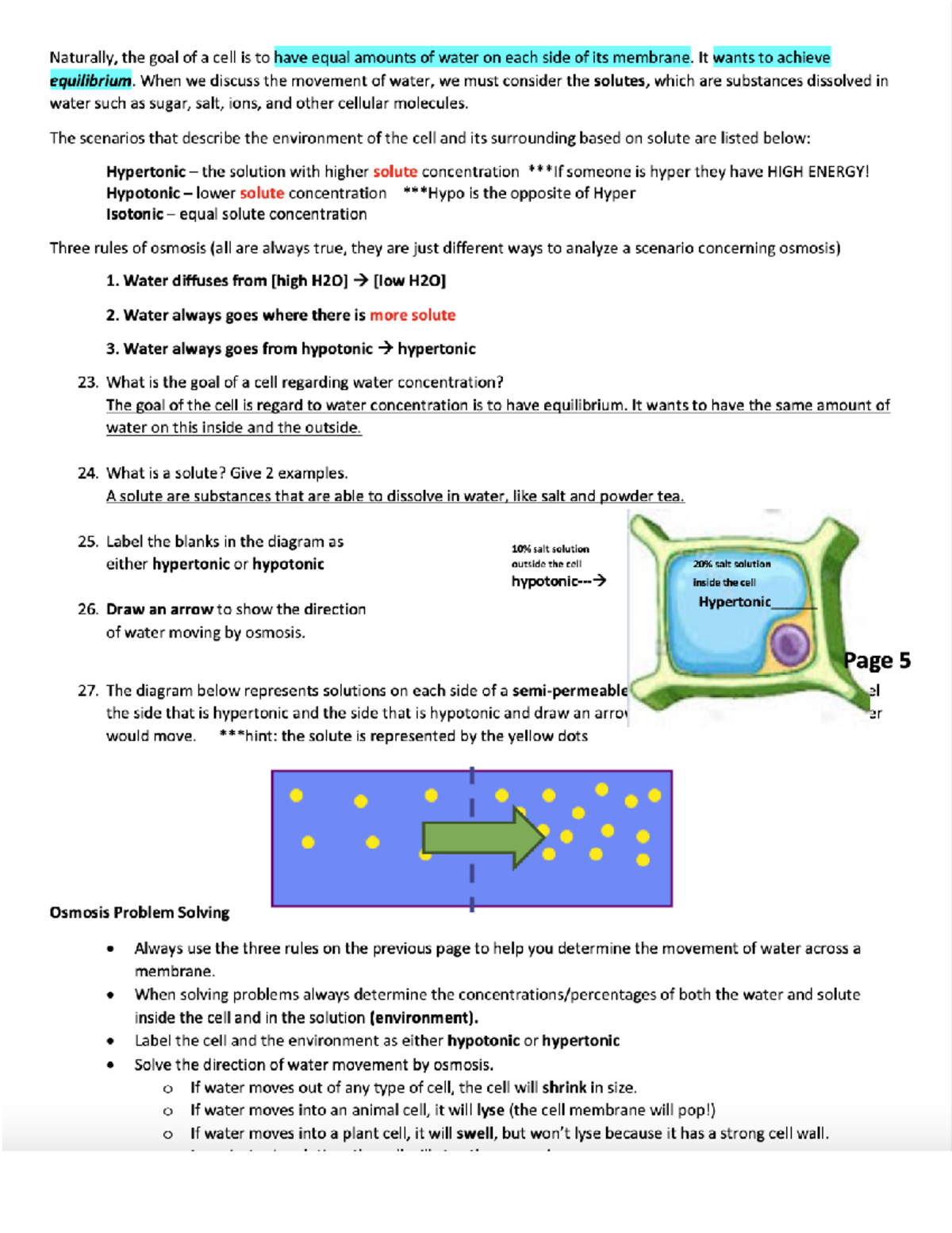 The Cell Membrane, Cell Trasnport - Studocu