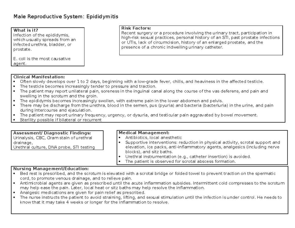 concept-map-epididymitis-male-reproductive-system-epididymitis-what