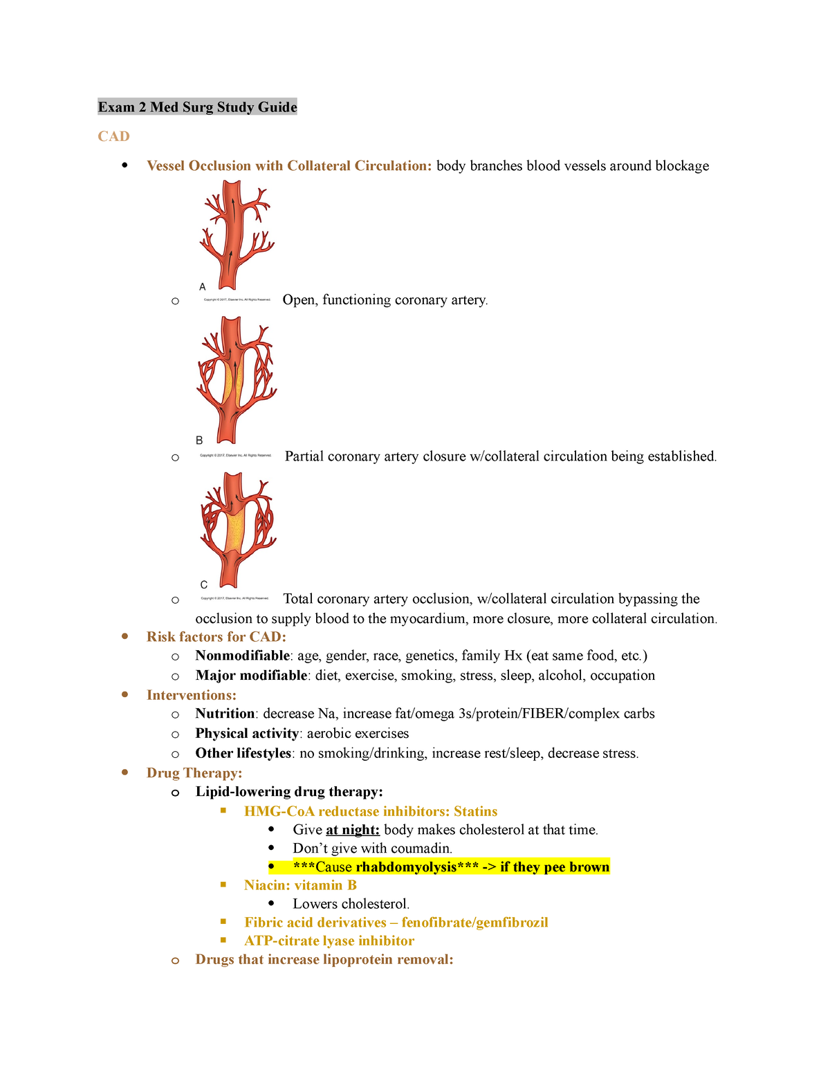 Exam 2 Med Surg Study Guide - Exam 2 Med Surg Study Guide CAD Vessel ...