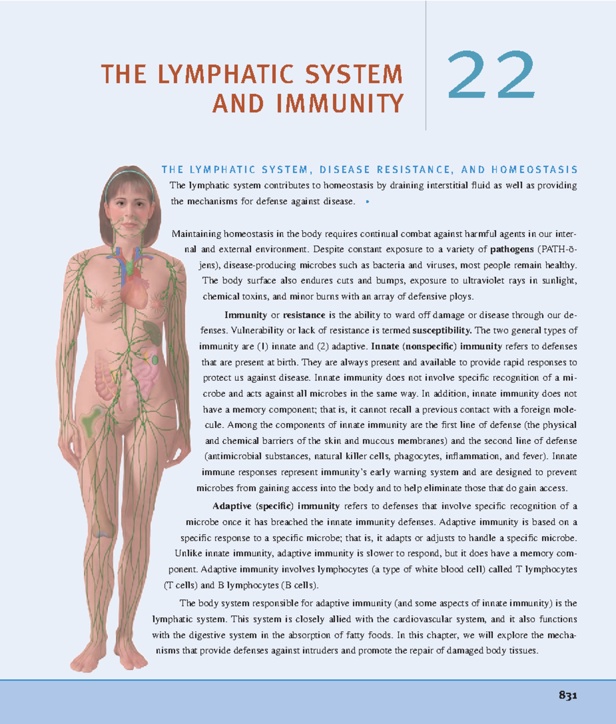Lymph notes from Human anatomy and physiology - THE LYMPHATIC SYSTEM ...